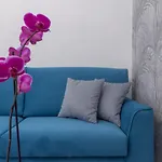 Villa Valverde Apartments E B&B